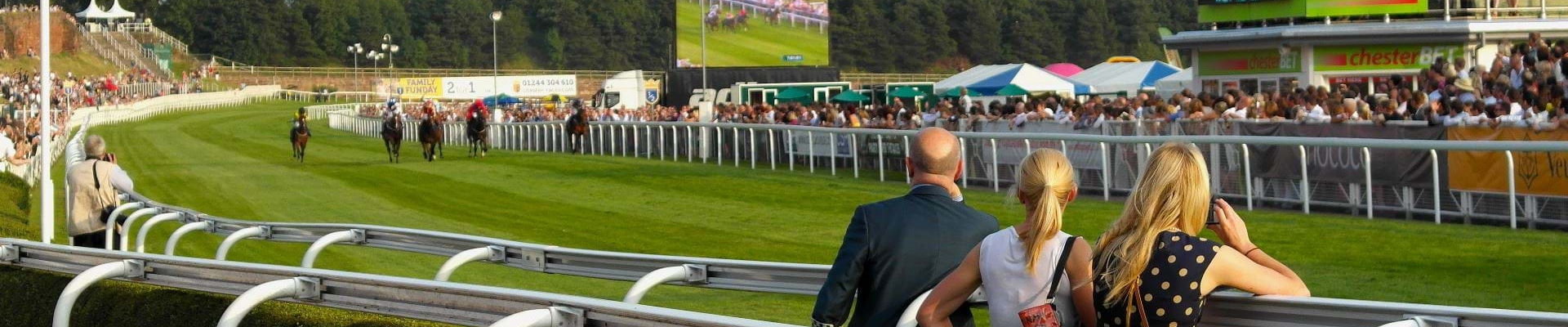 ...with an incredible strike rate of Top-Rated horses, Dutching and Lays