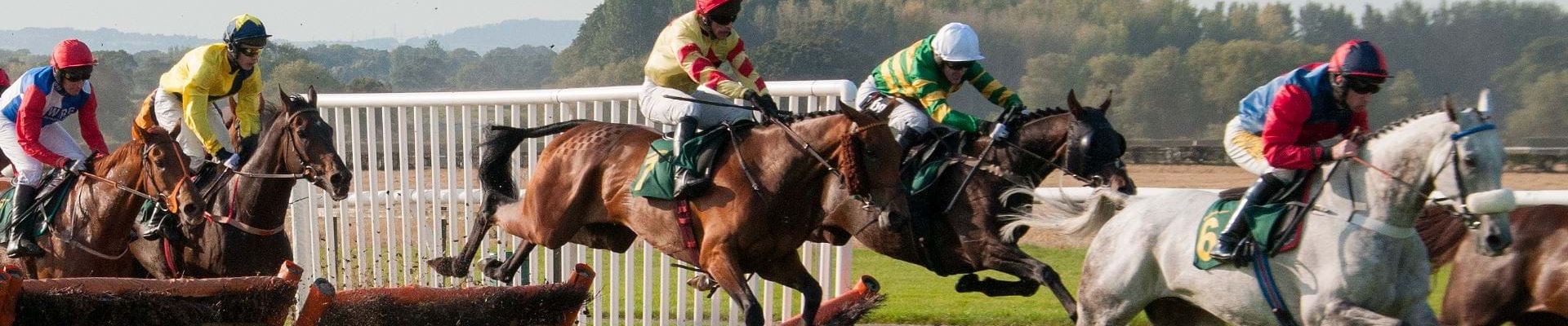 Unambiguous selections are displayed in just a few seconds...