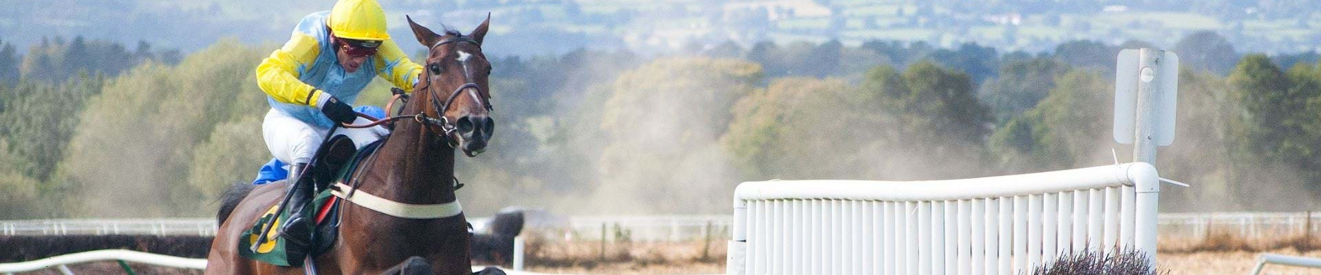 ...with an incredible strike rate of Top-Rated horses, Dutching and Lays