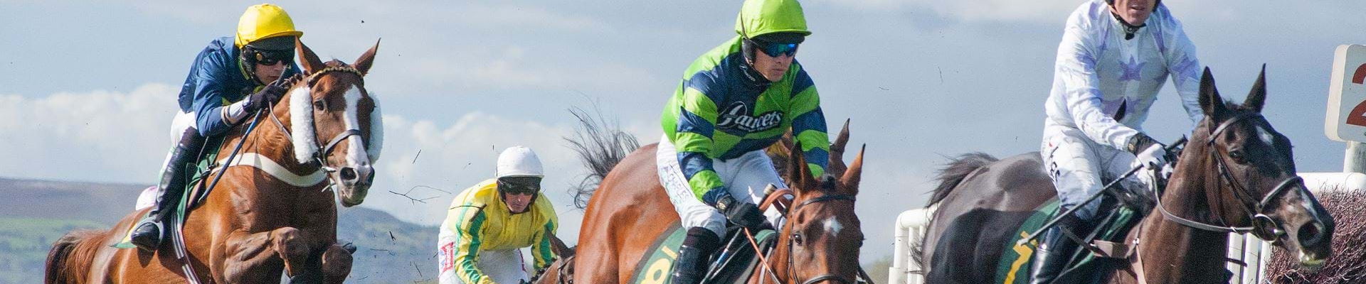 Every UK and Irish horserace