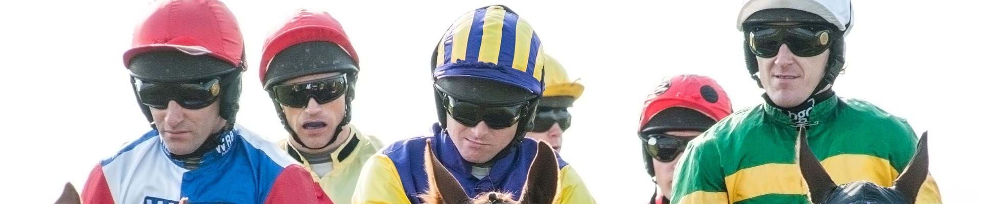 FormGenie. Highly sophisticated horseracing software