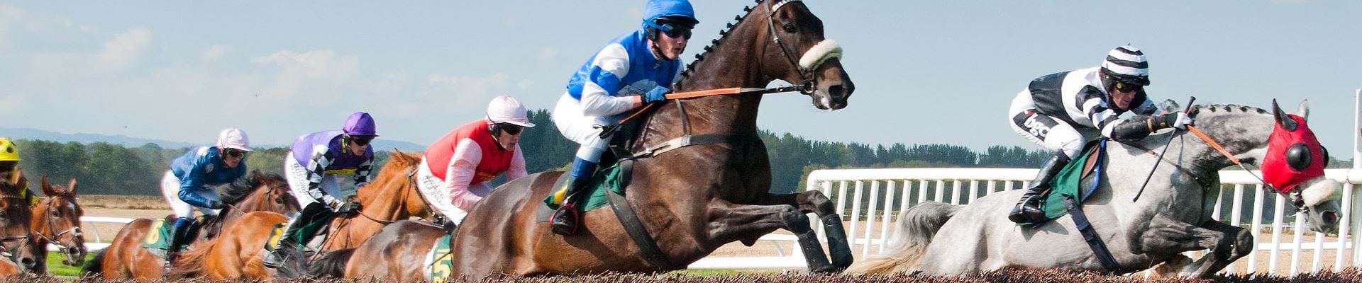 Predicting winners with incredible accuracy and stunning profits since 2006