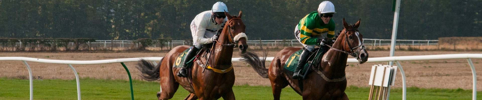 Unambiguous selections are displayed in just a few seconds...